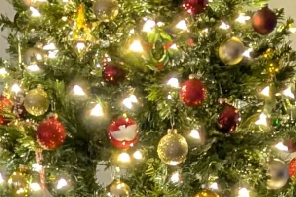 close up of decorated Christmas tree boughs