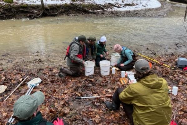 Group of people on the side of a stream 