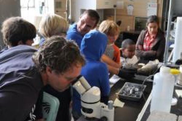 students look through microscopes in the lab