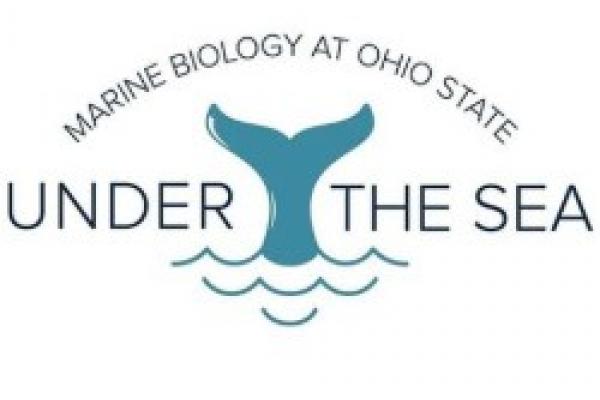 Under the Sea logo with whale tail