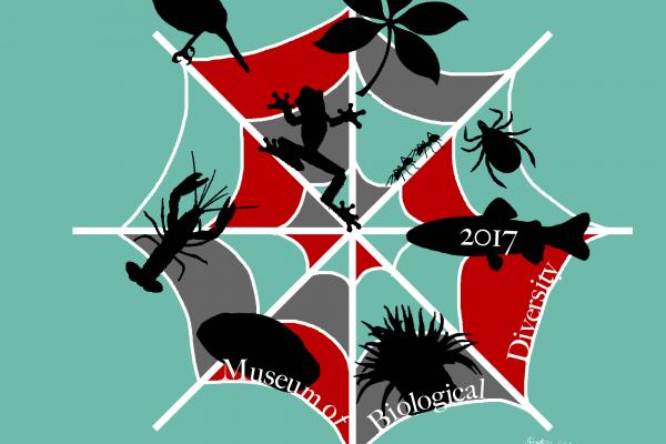 foodweb foodweb