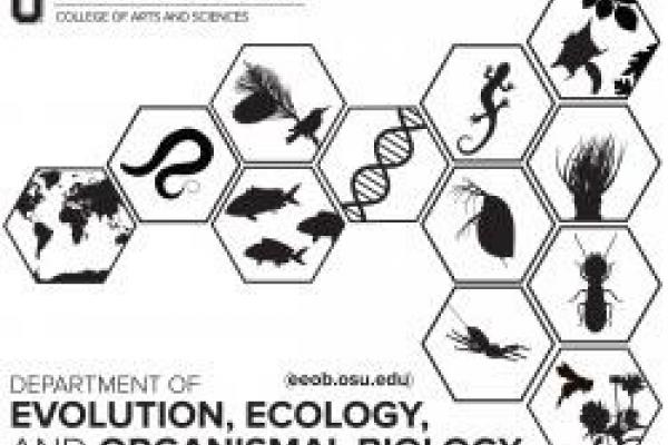 Logo for the Department of Evolution, Ecology, and Organismal Biology