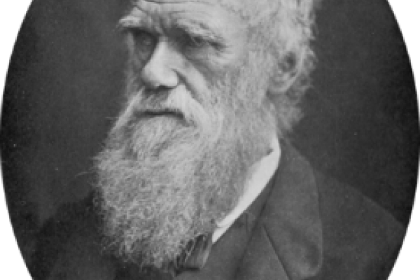 Charles Darwin portrait