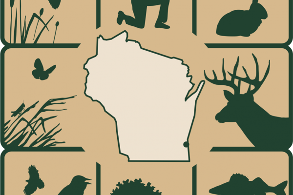 78th Midwest Fish and Wildlife conference logo 78th Midwest Fish and Wildlife conference logo
