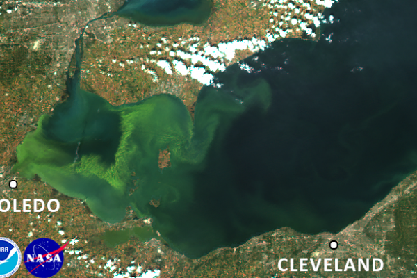 satellite picture of the western basin of Lake Erie