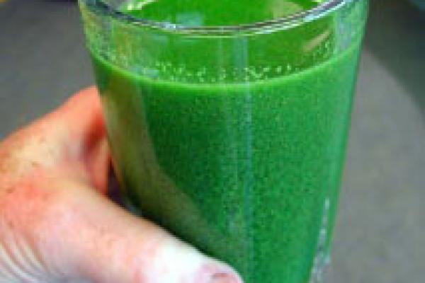 Microsystis milkshake Microsystis milkshake
