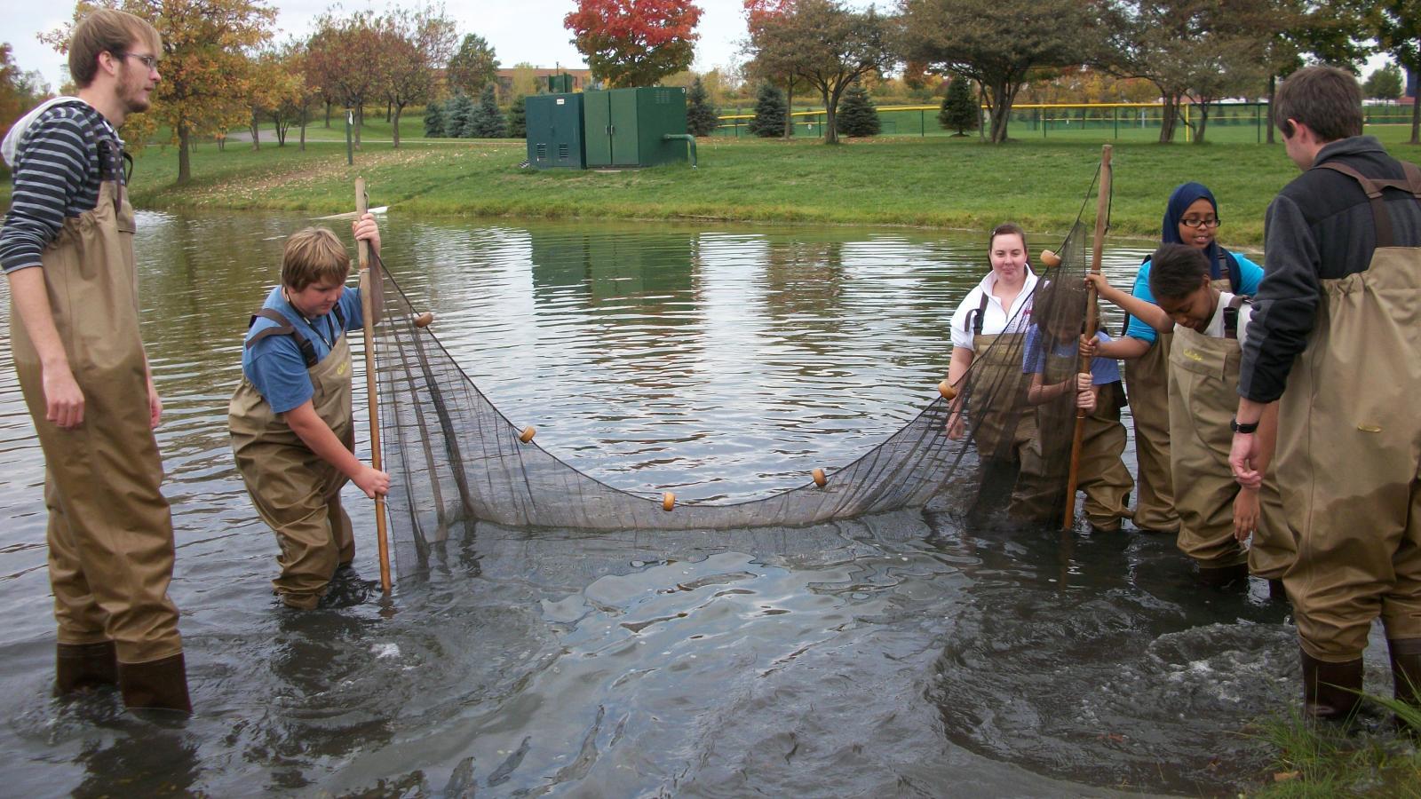 6th grade students using a seine in a pond