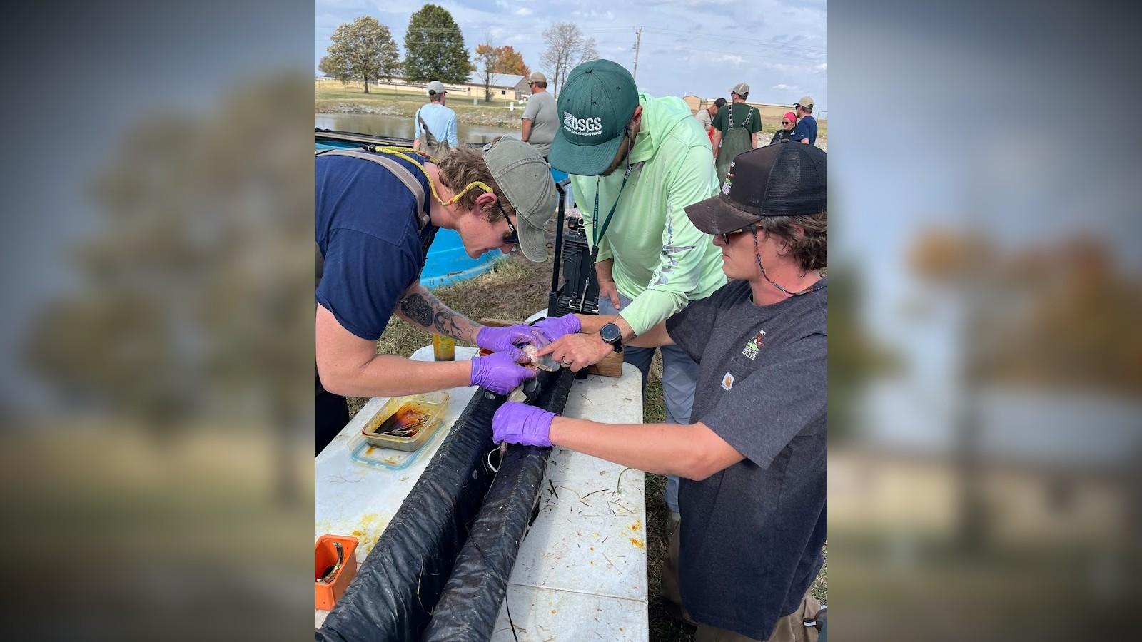 James Dowling and Sawyer Olson doing surgery on a fish with help of USGS staff