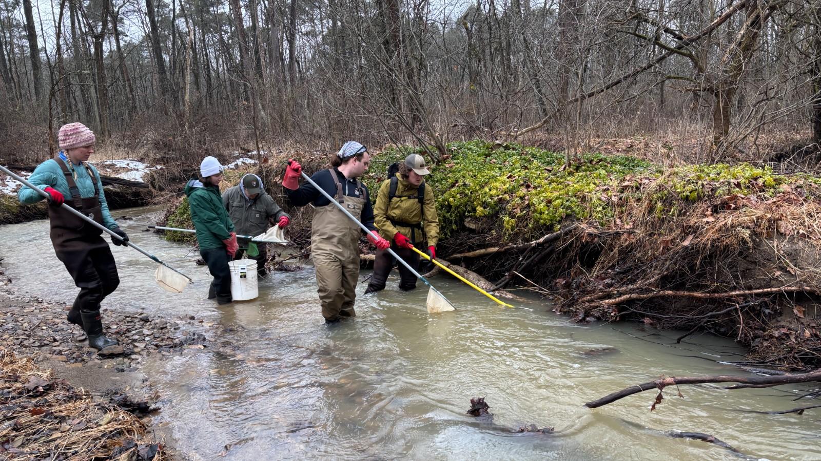 Group of people electrofishing in the stream