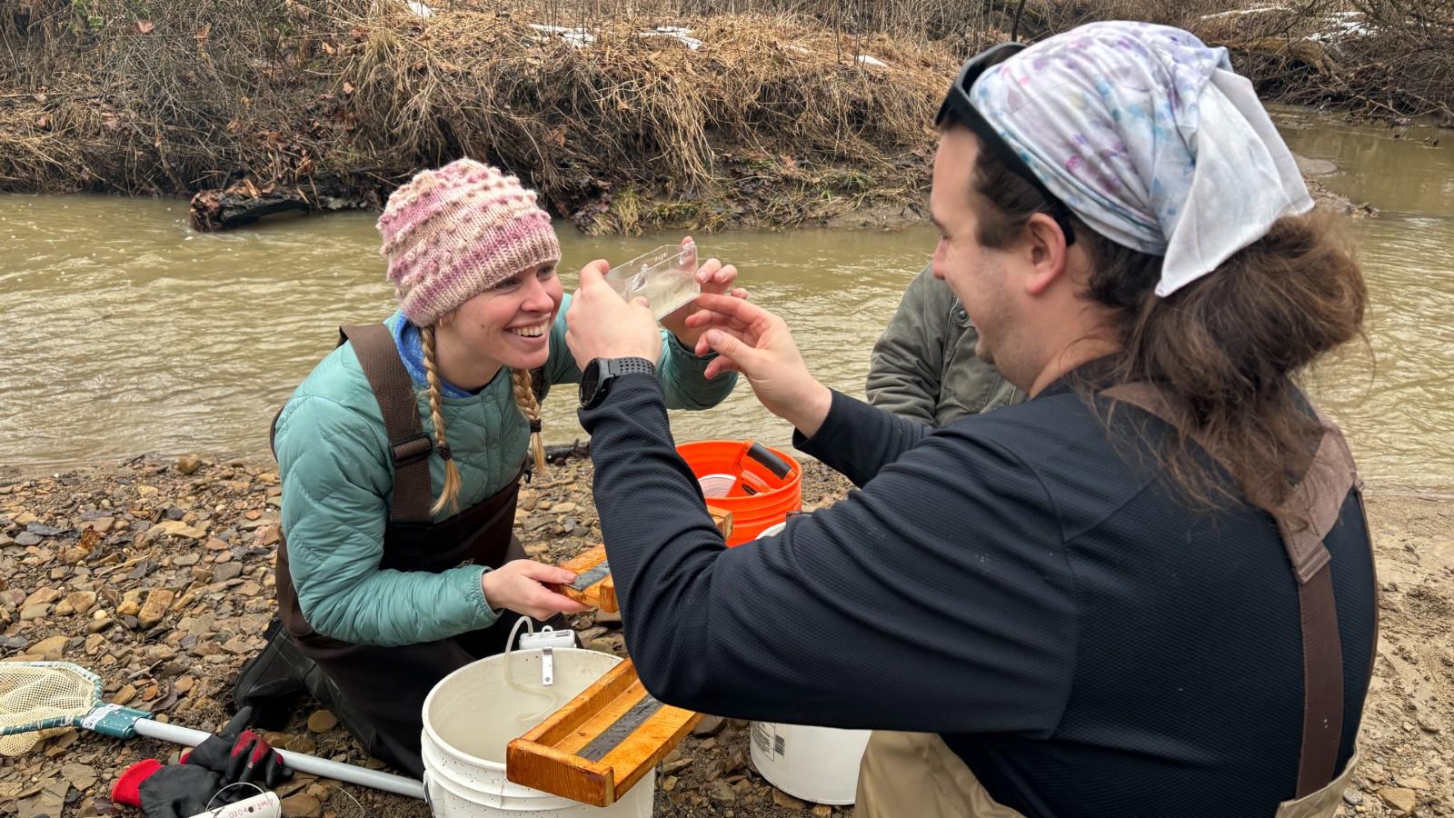 People on the stream bank looking at fish collected; Megan Herbruck