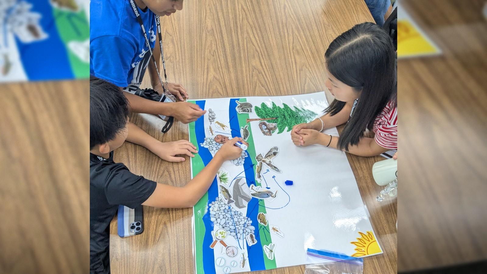 Students work on their food web